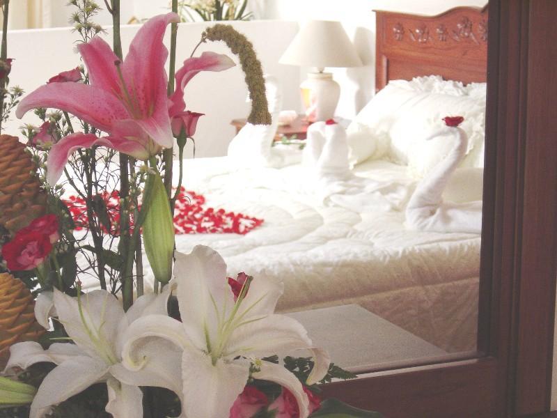 Hotel Vista Hermosa Κουερναβάκα Εξωτερικό φωτογραφία