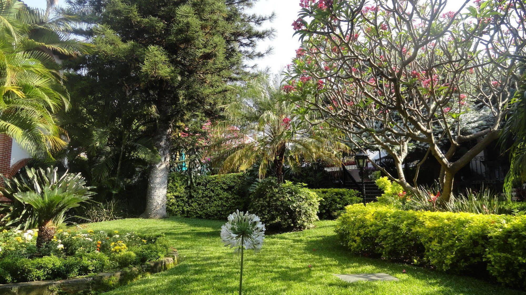 Hotel Vista Hermosa Κουερναβάκα Εξωτερικό φωτογραφία